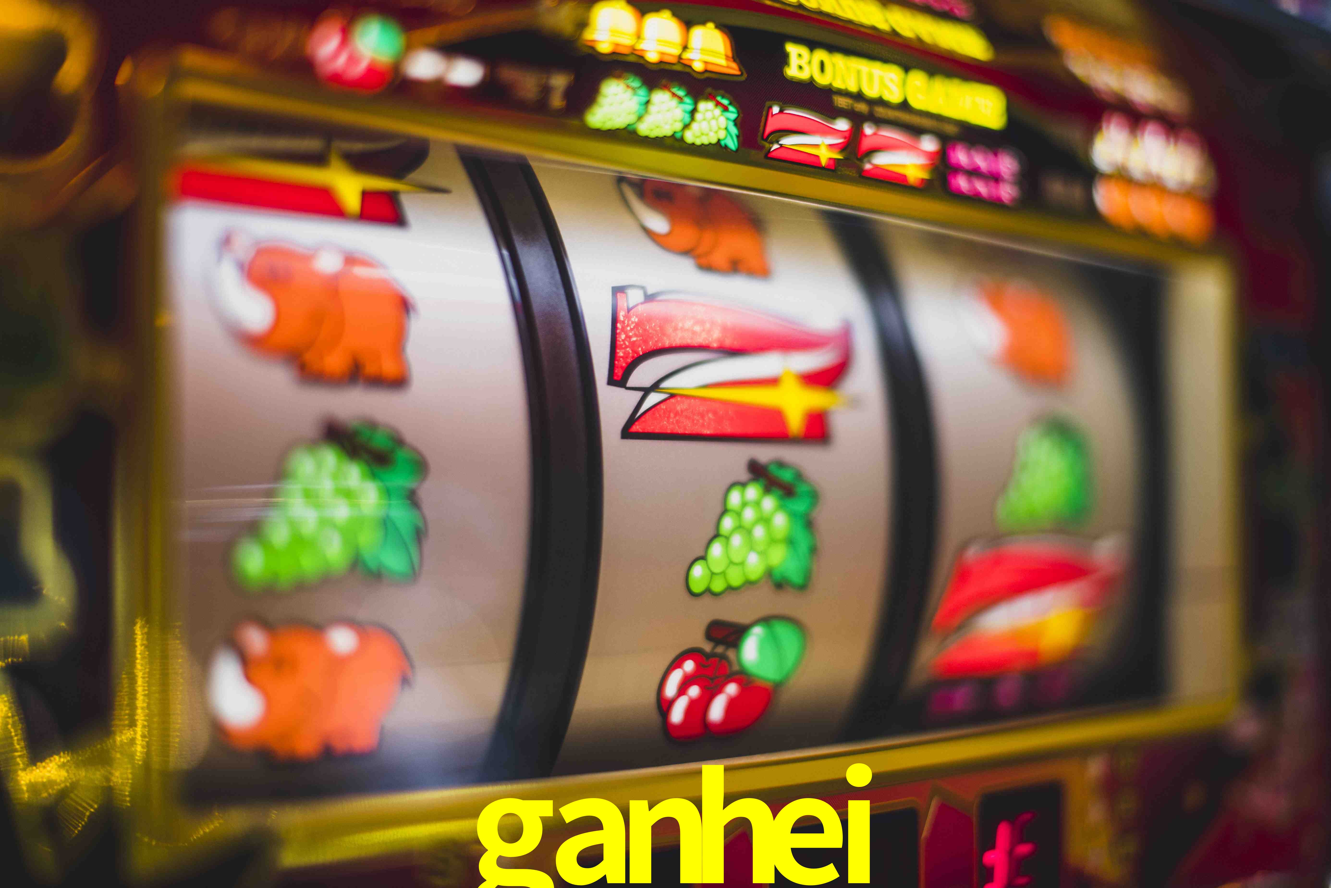 Basketball Betting ganhei